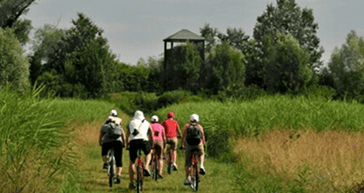 Gruppo in bici nella natura